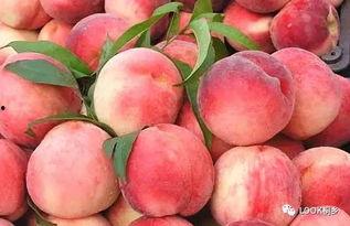 国产丨蜜桃 精品入口